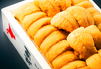 北海道・知床羅臼産の特上折りウニ120g
