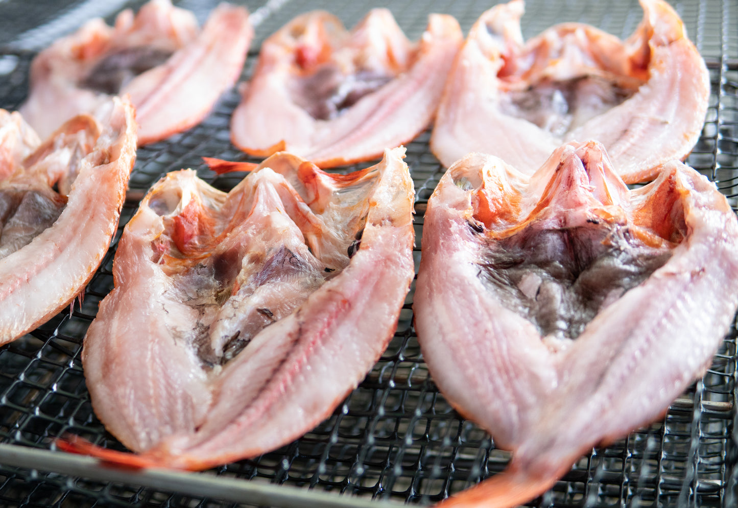 羅臼産 高級魚キンキ一夜干し 1匹400g｜世界自然遺産・知床の海が育てた高級魚メンメ