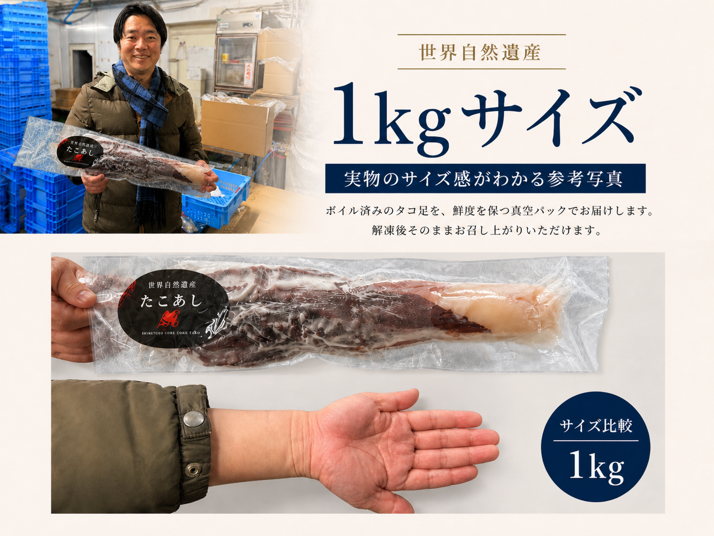知床羅臼ダコ 足1本｜世界自然遺産・知床の海が育てた縁起物の水ダコ