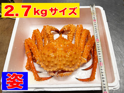濃厚な旨みの北海道産イバラガニ